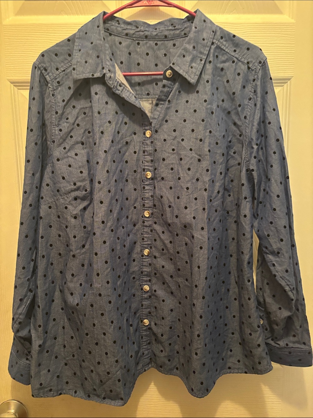 Source Unknown Blue Polka Dot Button-Down Women's Shirt